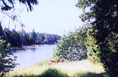 Photograph of Cufra Inlet waterfront, Thetis Island, from the common property waterfront of Meadow Valley Properties.
